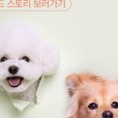 페츠베리머치 카페 이미지