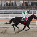 다이아로드 이미지