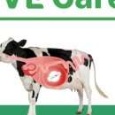 (유)길은 이미지