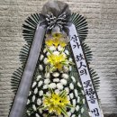 성애의료재단 성애병원 이미지