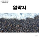 무릉리방사탑 4호 | 제주도 공항 근처 알작지해변 몽돌 소리 힐링 자연경관