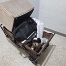 홍천말근린공원 | [홍천 엘페로 애견펜션] 꿍까루와 함께하는 크리스마스 여행!