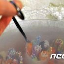 정자네 이미지