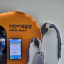 [영도볼거리] 영도 국립해양박물관 전시관 및 아쿠아리움 후기!