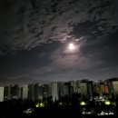 삼성덴탈 이미지