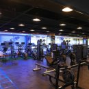 휘트니스 킹콩 이미지