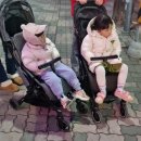 홍천말프라자 이미지