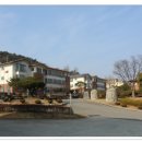 정곡천 Daum카페