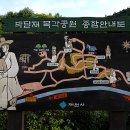 나무향기 차향기 이미지