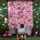 팜비치 리조텔 이미지