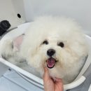 짱아미용실 이미지