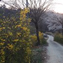 스테이 마중 이미지