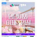 더 펫츠 | 임실 옥정호 애견동반 펫츠고 여행 후기