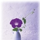 동양 무도장 이미지