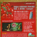 안스퓨어팜