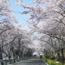 노량 해안도로길 이미지