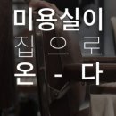프리즈헤어 이미지