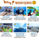 펀하모니카(10월) | 오키나와 케라마제도 투어 스노쿨링 1일 직접 이용 후기