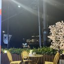 4.19부어치킨