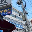입문용 베이스기타 : 스윙 재즈킹 다프네블루(DBL) 내돈내산 후기 + 구매처 정리