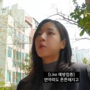 순수