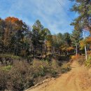 솔안농장 이미지