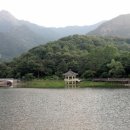 채원화원
