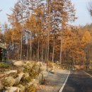 38야영장 이미지