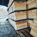 벧엘 양봉 이미지