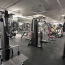 라이언 휘트니스 이미지