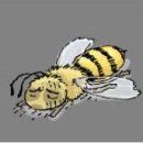 [천자칼럼] 꿀벌의 경고(한국경제) / [﻿빛명상] 꿀벌 실종사건과 전자파﻿ 이미지