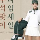 위비스지센 이미지