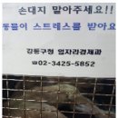 둔촌동물병원 이미지