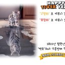 라온 주짓수 합기도 이미지