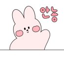 이든참치 이미지