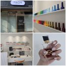 용두천로 | [제천] 꼼꼼한 케어 5만원대 이달의아트 ' 하온네일 ' 제천 네일샵 추천 ㅣ 솔직후기