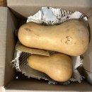 양자농장 이미지