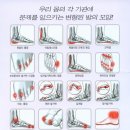 삶의모양 이미지