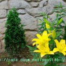 백합아파트경로당 이미지