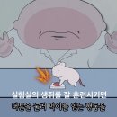 생쥐실험과 일치하는 알바들의 범죄 동기부여(motivation) 이미지