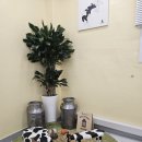 재덕목장 이미지