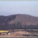 오름 Daum카페