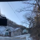 피오르 숲 빌리지 이미지