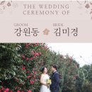 동신파이디온 이미지