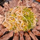 오양식당 이미지