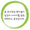 분당중앙 동물병원 이미지