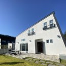 피치203-3 이미지