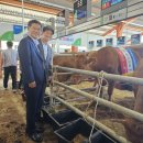 평창영월정선축산농협