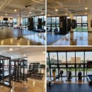 팀엑스 복싱 이미지