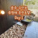 프라이빗 힐링 호캉스 유원재 온천호텔 후기 :: Day 1 :: 객실 청심